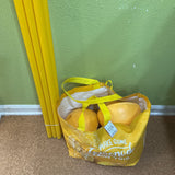 Soccer Agility Training Equipment: 6 Soccer Agility Poles, 20ft Agility Ladder, 10 Soccer Cones